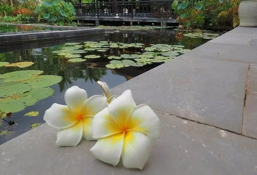 Fotos del hotel Villa Hoa Su  Frangipani Village Resort:  7