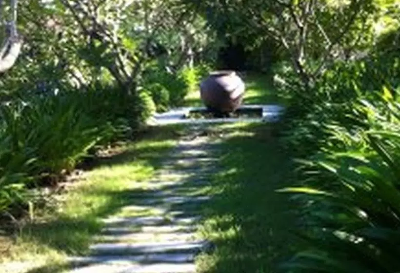 Fotos del hotel Villa Hoa Su  Frangipani Village Resort:  15