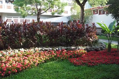 Fotos del hotel Longbon Resort Beitou:  8