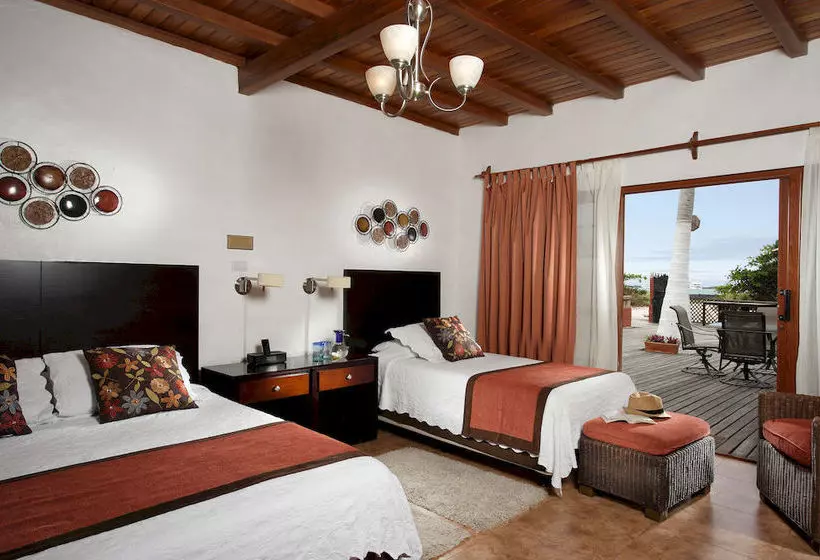 Fotos del hotel Red Mangrove Lodge Isabela:  7