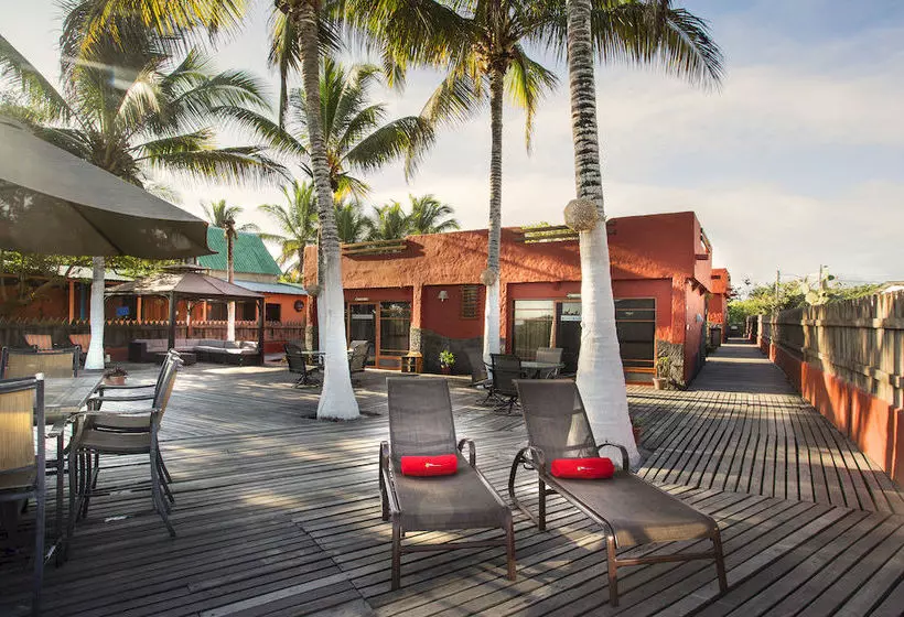 Fotos del hotel Red Mangrove Lodge Isabela:  13