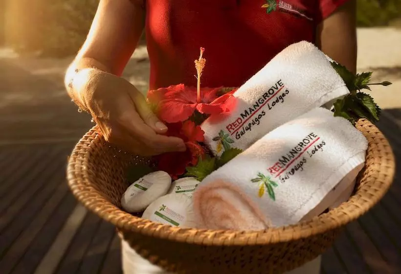 Fotos del hotel Red Mangrove Lodge Isabela:  18