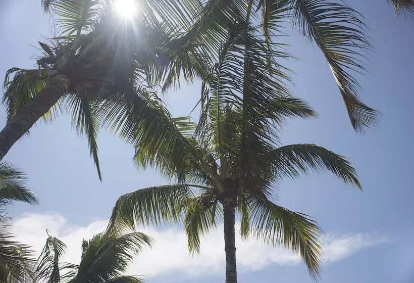 Fotos del hotel Red Mangrove Lodge Isabela:  20