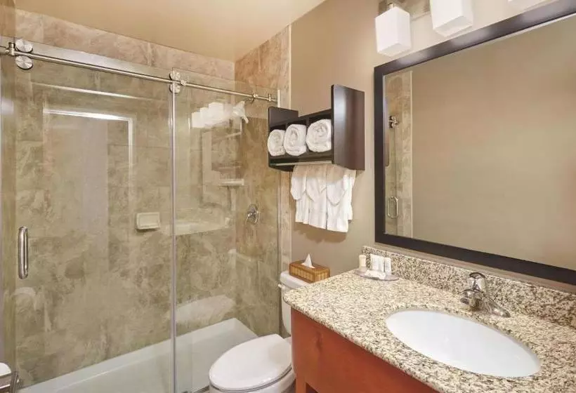 Fotos del hotel Best Western Plus Hyde Park Chicago:  5