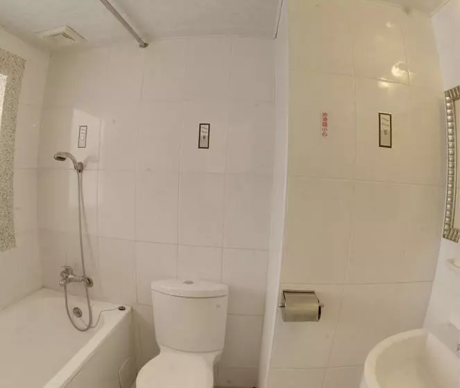 Fotos del hotel Sinyago:  8