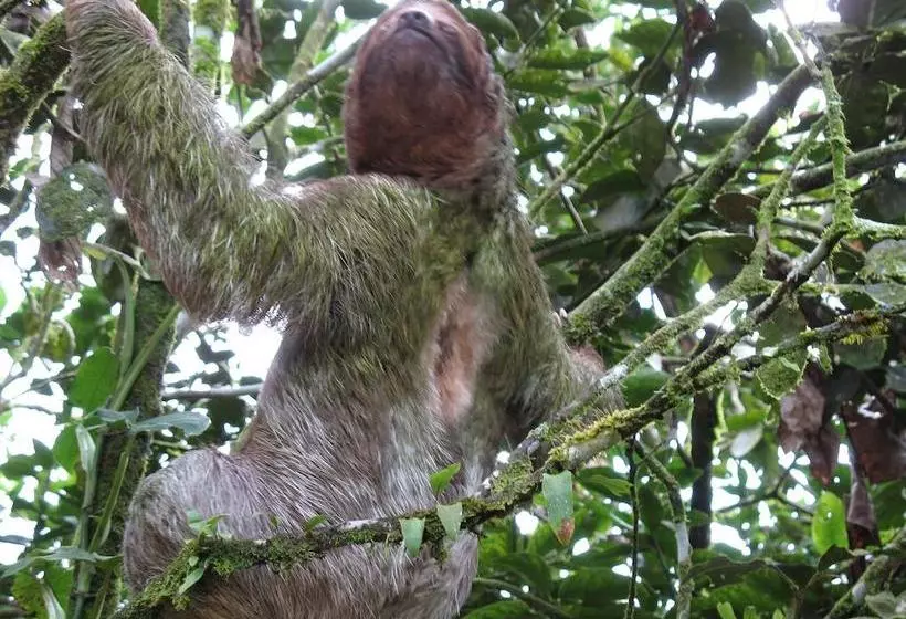 Fotos del hotel Cerro Chato Ecolodge:  12