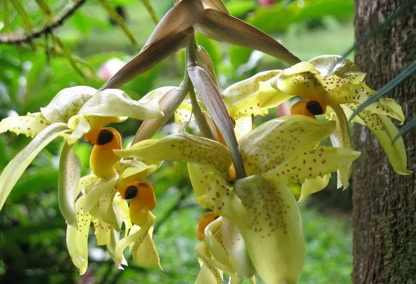 Fotos del hotel Cerro Chato Ecolodge:  6