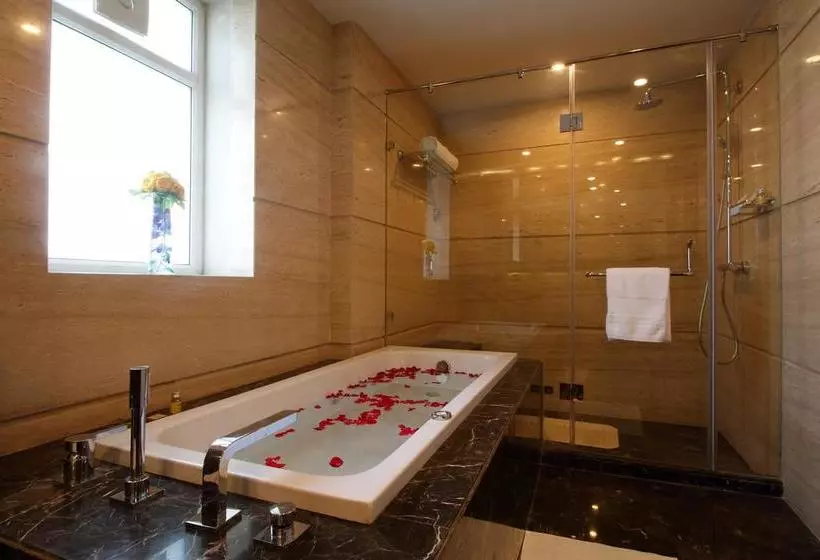 Fotos del hotel Ameya Suites:  4