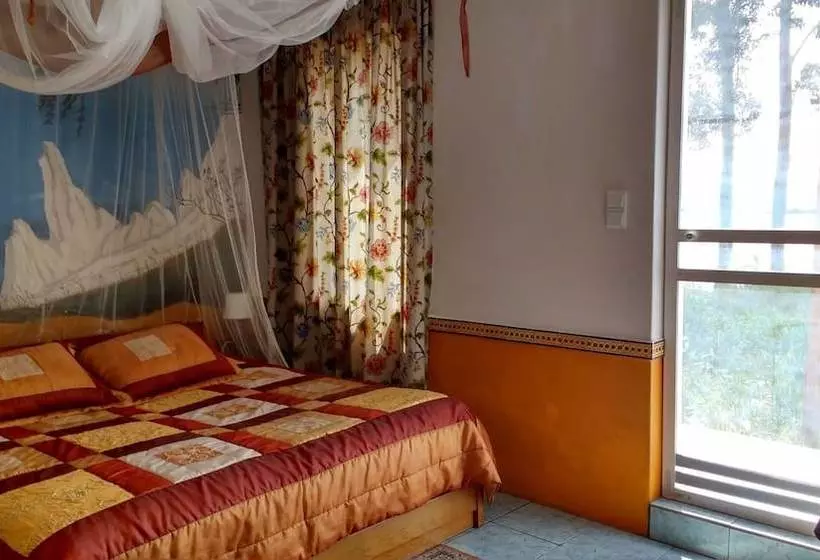Fotos del hotel Termas Da Azenha:  6