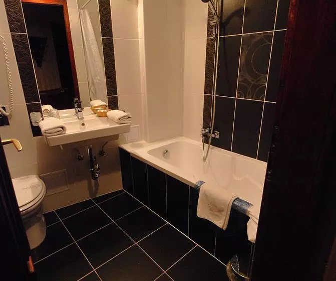 Fotos del hotel Amadeus:  6