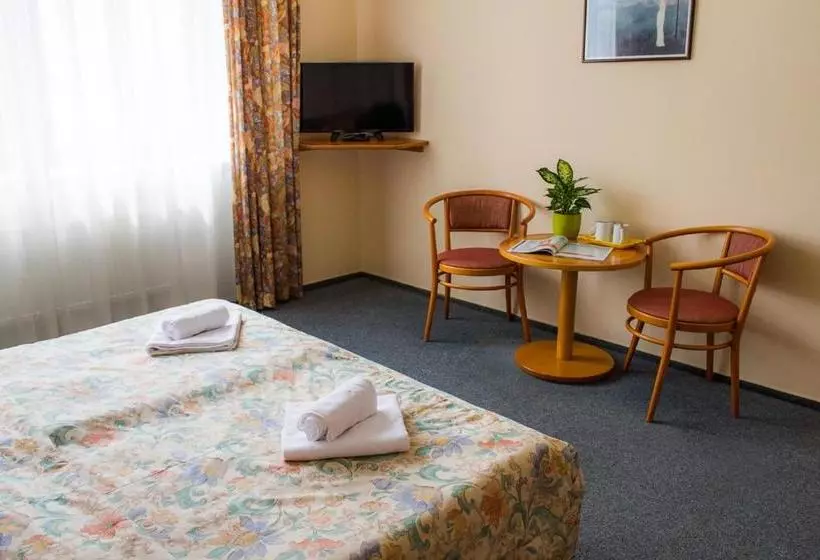 Fotos del hotel Dalimil:  2