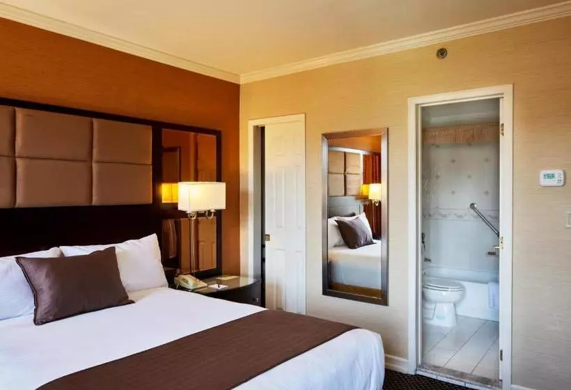 Fotos del hotel Excelsior:  11