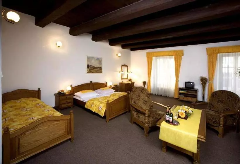 Fotos del hotel Malý Pivovar:  6