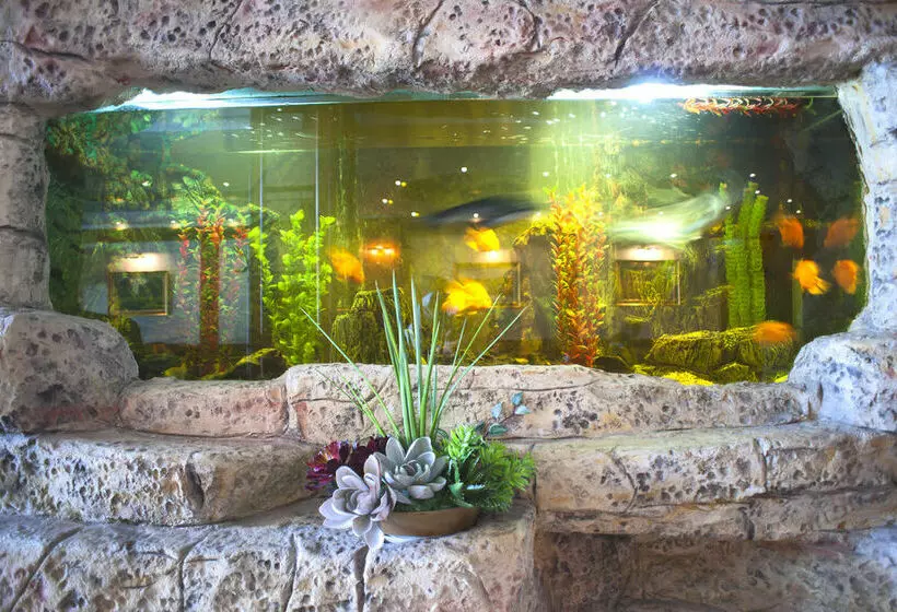 Fotos del hotel Maxi Park Hotel:  11