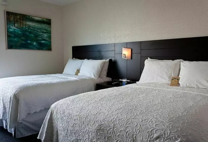 Fotos del hotel Da Vinci Villa:  21