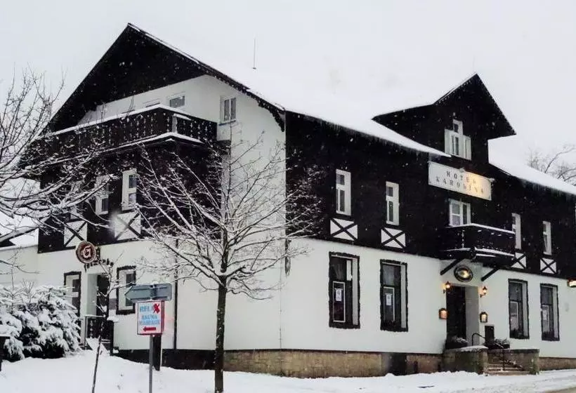 Fotos del hotel Karolina:  11