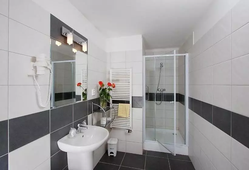 Fotos del hotel Ostruvek:  3