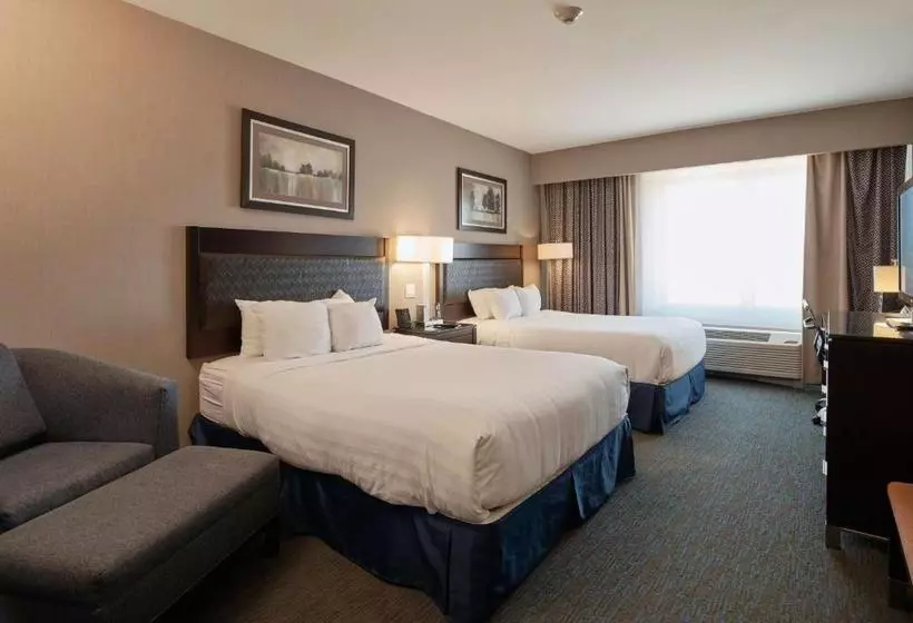 Fotos del hotel Wingate By Wyndham Chihuahua:  8