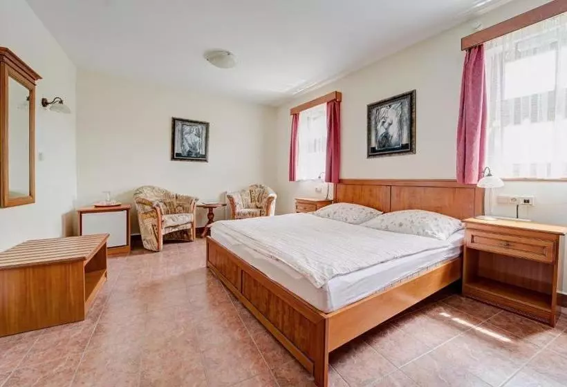 Fotos del hotel Rodinný Pension Antoni:  6