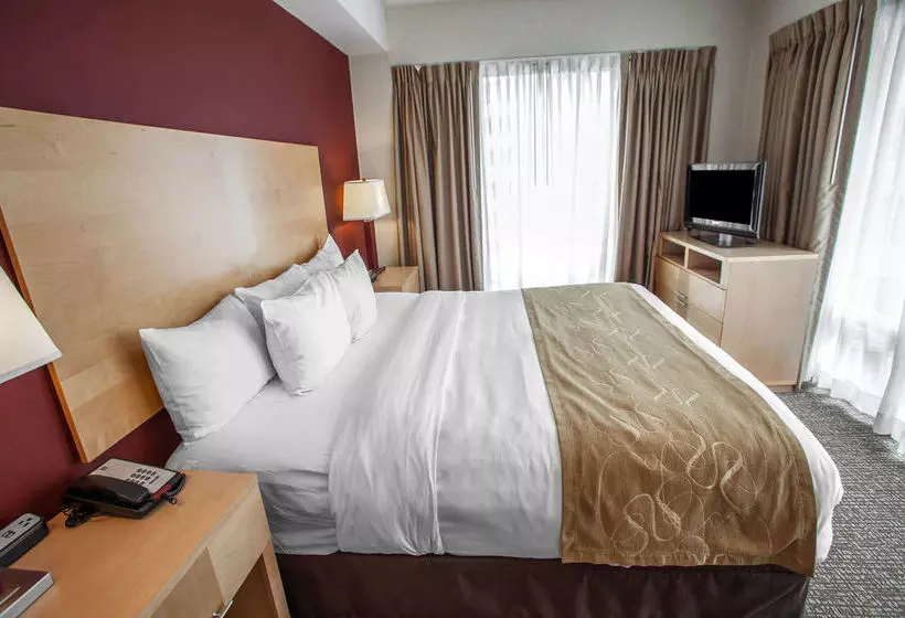 Fotos del hotel Comfort Suites Michigan Avenue - Loop:  20