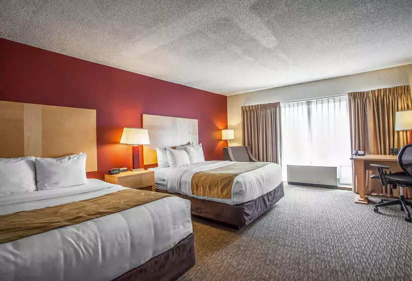 Fotos del hotel Comfort Suites Michigan Avenue - Loop:  17