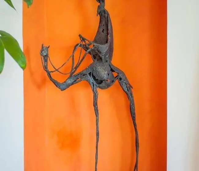 Fotos del hotel Mayoka Lodge:  5