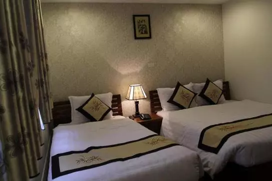 Fotos del hotel Hanoi Apple:  23