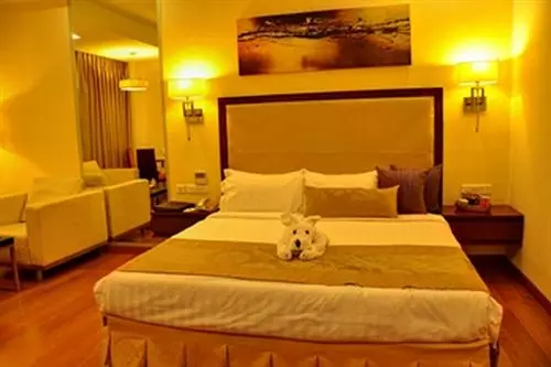 Fotos del hotel Manasarovar  The Fern:  9