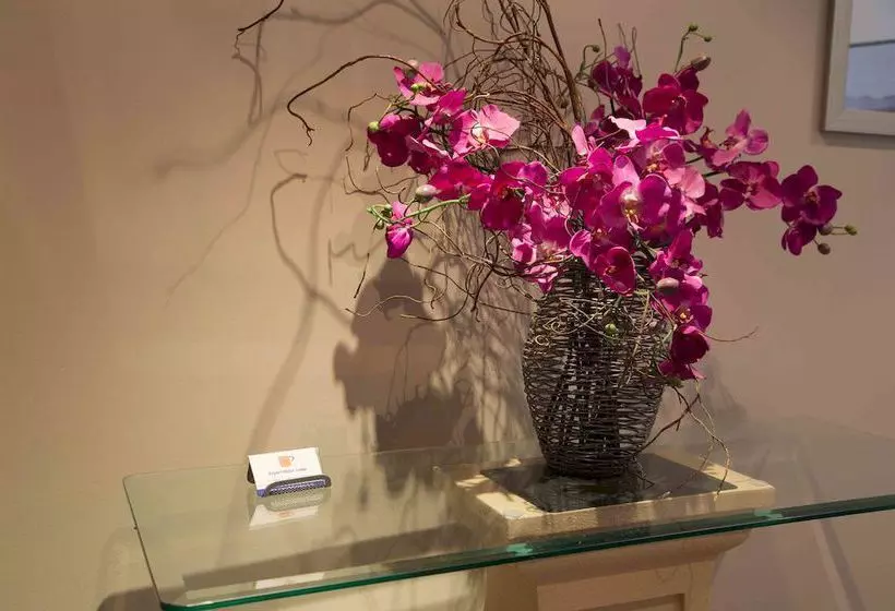 Fotos del hotel Airport Motor Lodge:  4