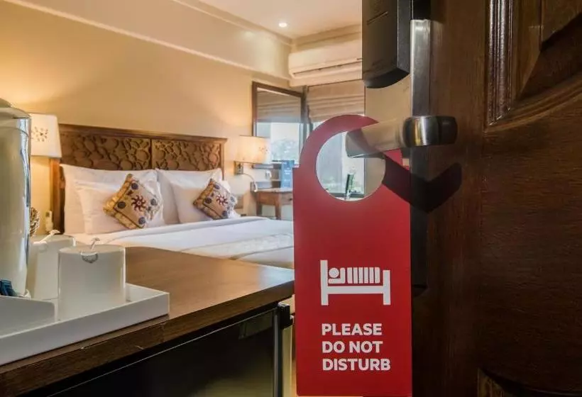 Fotos del hotel Maharaja:  9