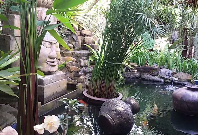 Fotos del hotel Jungle Village Bungalows:  11