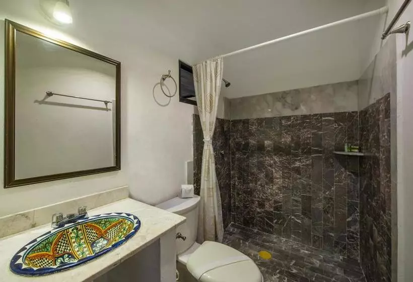 Fotos del hotel Caracol Suite:  14