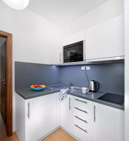 Fotos del hotel Downtown Suites Chlumova:  6