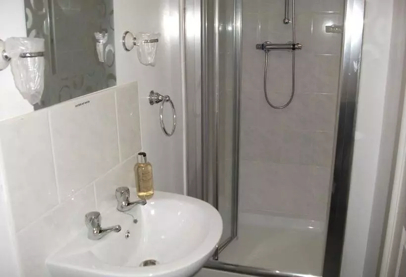 Fotos del hotel The Brema:  4
