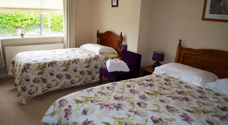 Fotos del hotel Castleview House B&b:  9