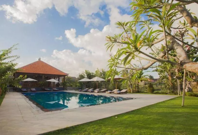 Fotos del hotel Rama Village:  19
