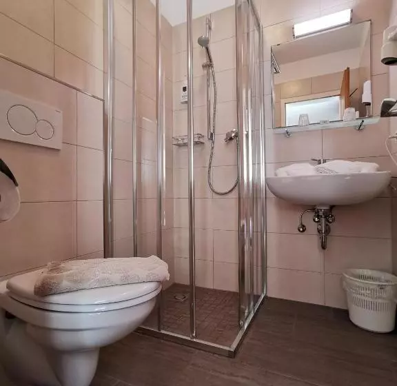 Fotos del hotel Pension Haus In Der Sonne:  9