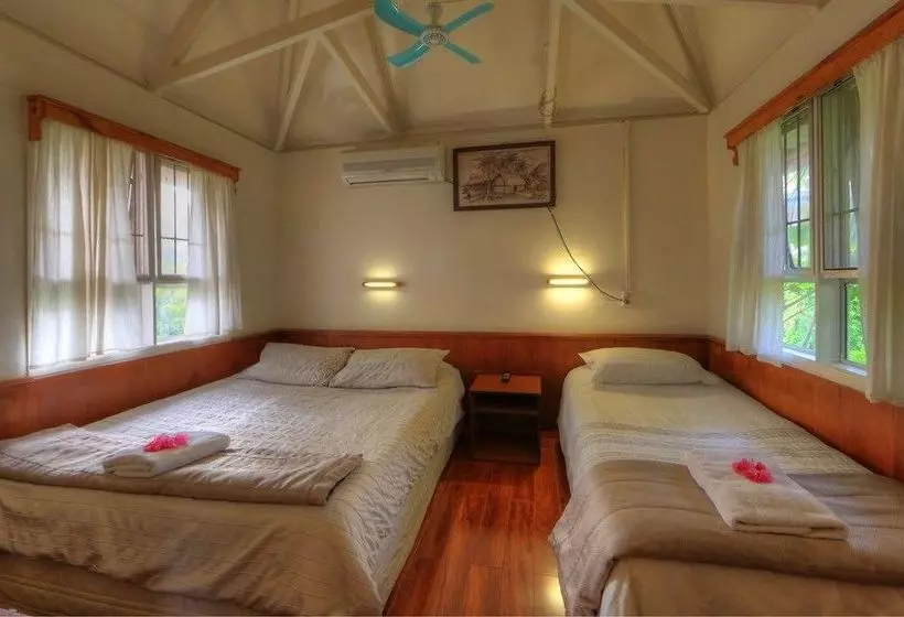 Fotos del hotel The Friendly Islander:  10