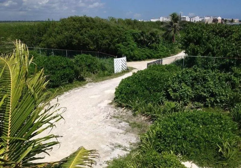 Fotos del hotel Casa De Los Angeles:  11