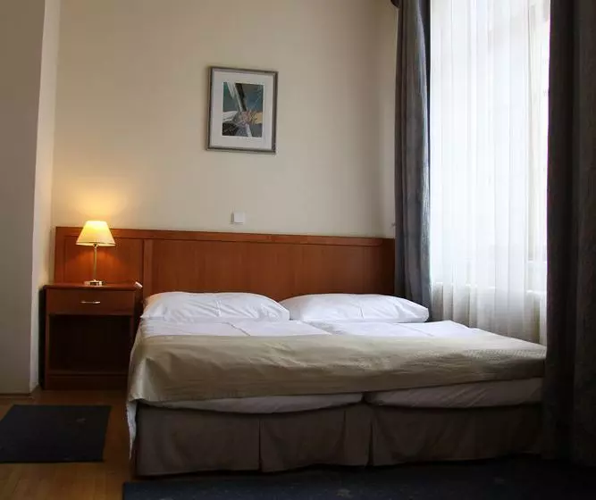 Fotos del hotel Hotel Modra Ruze:  20