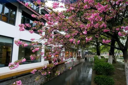 Fotos del hotel Le View Seasons Suites:  10