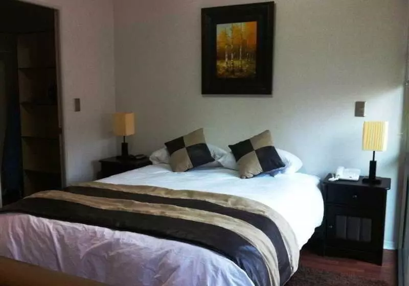 Fotos del hotel Chile Apart Ltda:  3