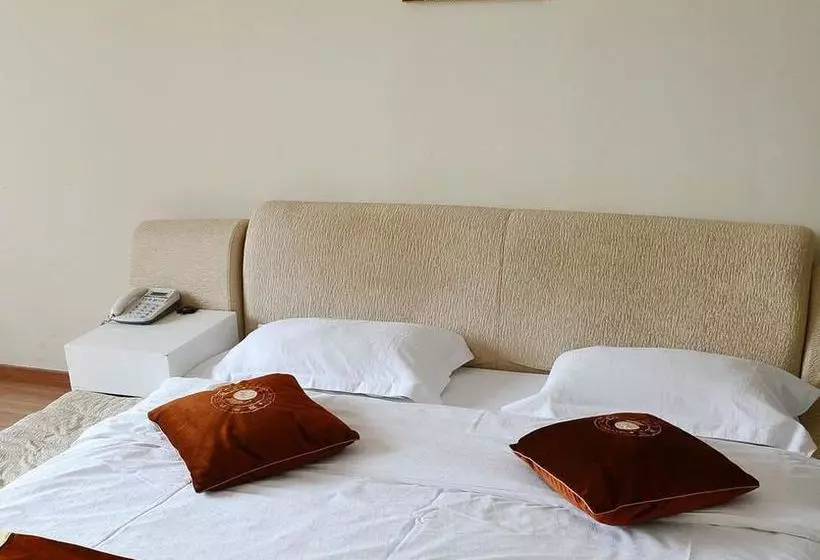 Fotos del hotel Vili International:  15