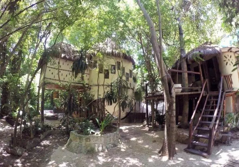 Fotos del hotel Shalala :  3