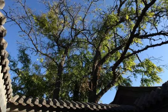 Fotos del hotel Old Beijing Square:  8