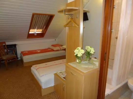 Fotos del hotel Bai Panzió:  18