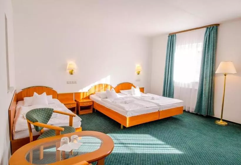 Fotos del hotel Spindlerova Bouda:  12