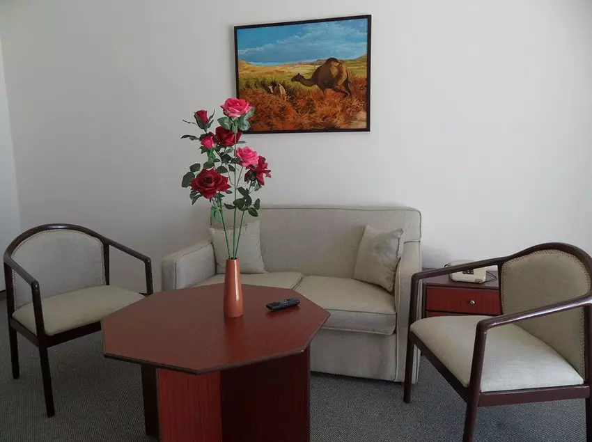 Fotos del hotel Petra Panorama:  3