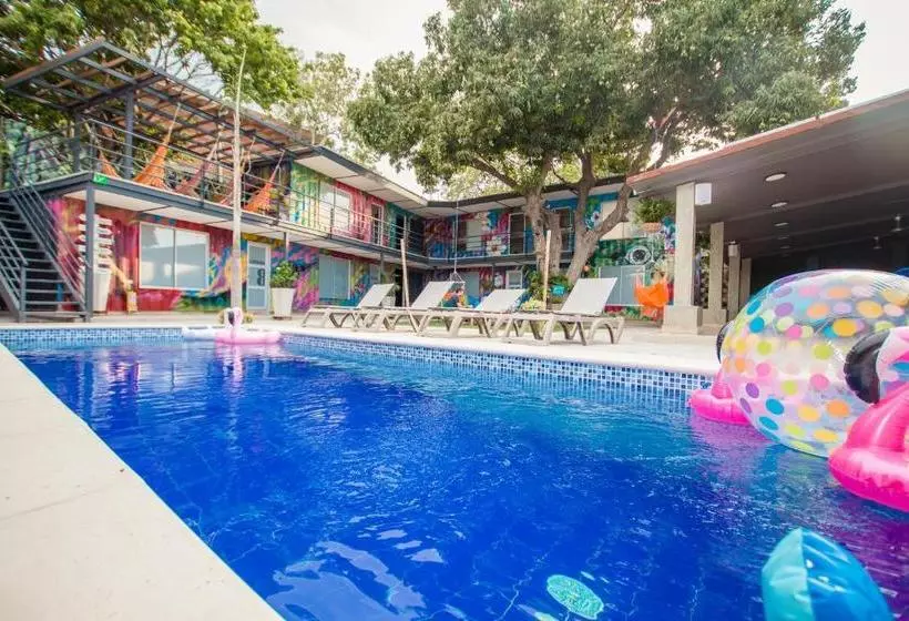 Fotos del hotel Casa Avelina Hostal:  10