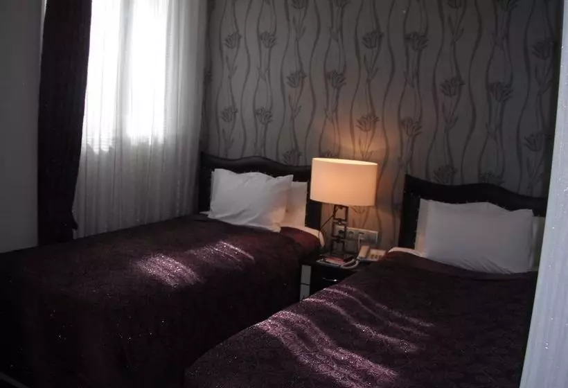 Fotos del hotel Ankara Risiss:  17